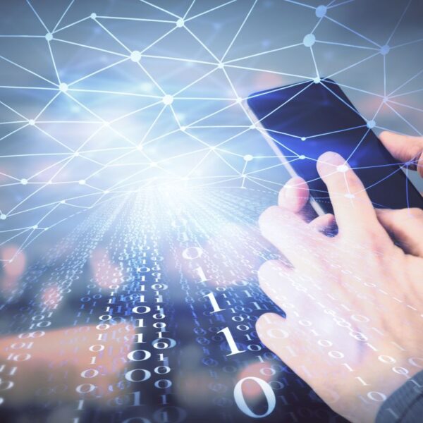 Digital BSS Datasheet